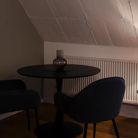 Penzion Bm Innenstadt - Grosse Moderne Mit Eigenem Bad Im Herzen Der Stadt