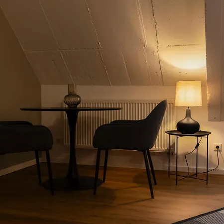 Penzion Bm Innenstadt - Grosse Moderne Mit Eigenem Bad Im Herzen Der Stadt 3*